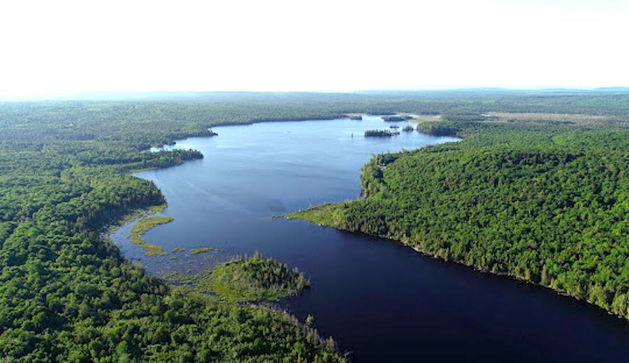 Michigan Lakefront Property Nestled Near the Canadian Border!