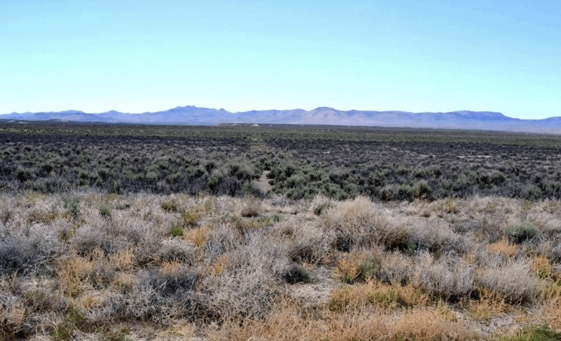 41.85 Acres in Elko County's High Mountain Desert!