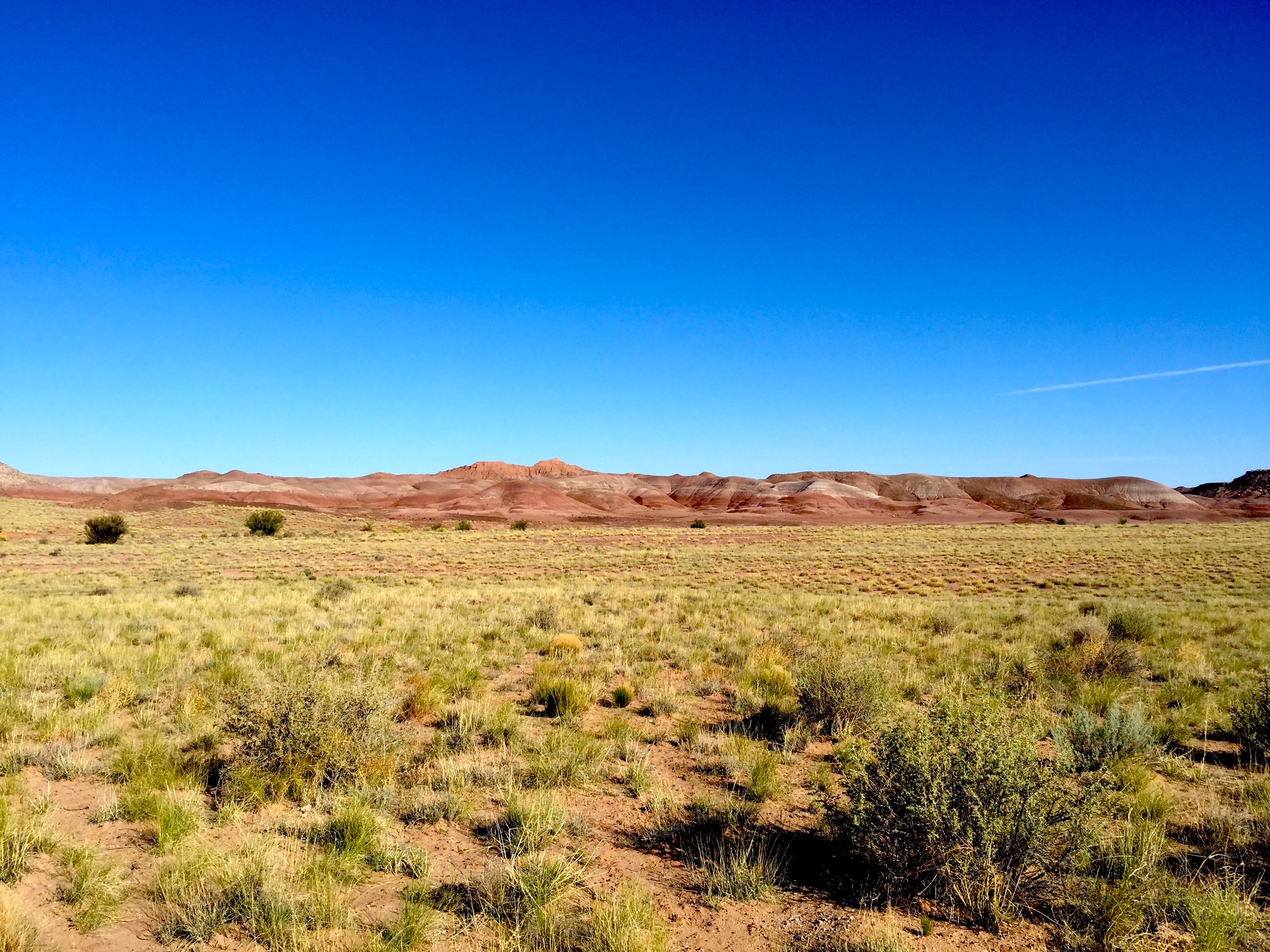 Discover 1.32 Acres of Natural Splendor and Cultural Riches in Arizona's Navajo Nation!