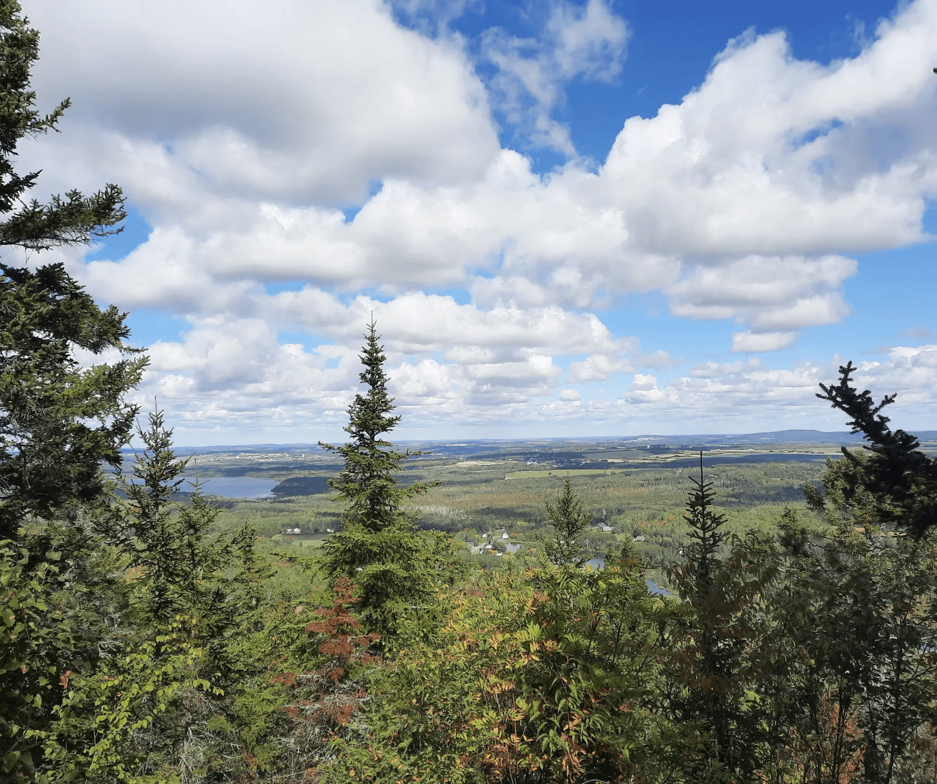 Explore Aroostook County, Maine: Where Wilderness Meets Warmth and Charm!