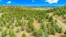 Build Your Haven in Modoc County, California!