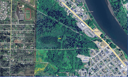 Grays Harbor, Washington Lot 15 Miles from the Pacific Ocean!