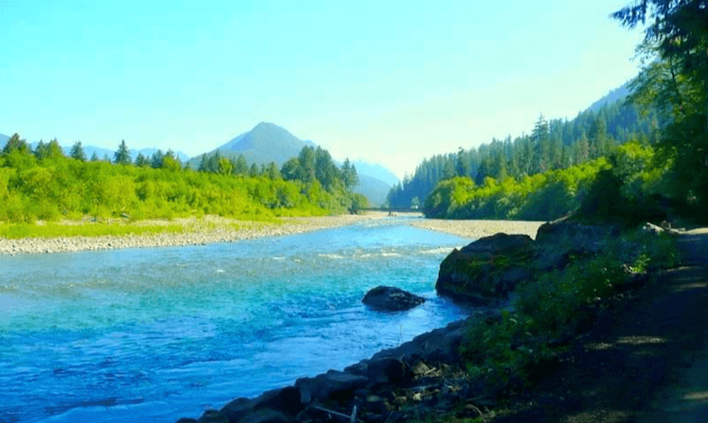 Grays Harbor, Washington Lot 15 Miles from the Pacific Ocean!