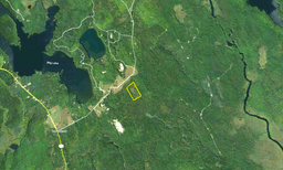 24 Acres Near Bog Lake in Northfield, Maine!