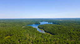24 Acres Near Bog Lake in Northfield, Maine!