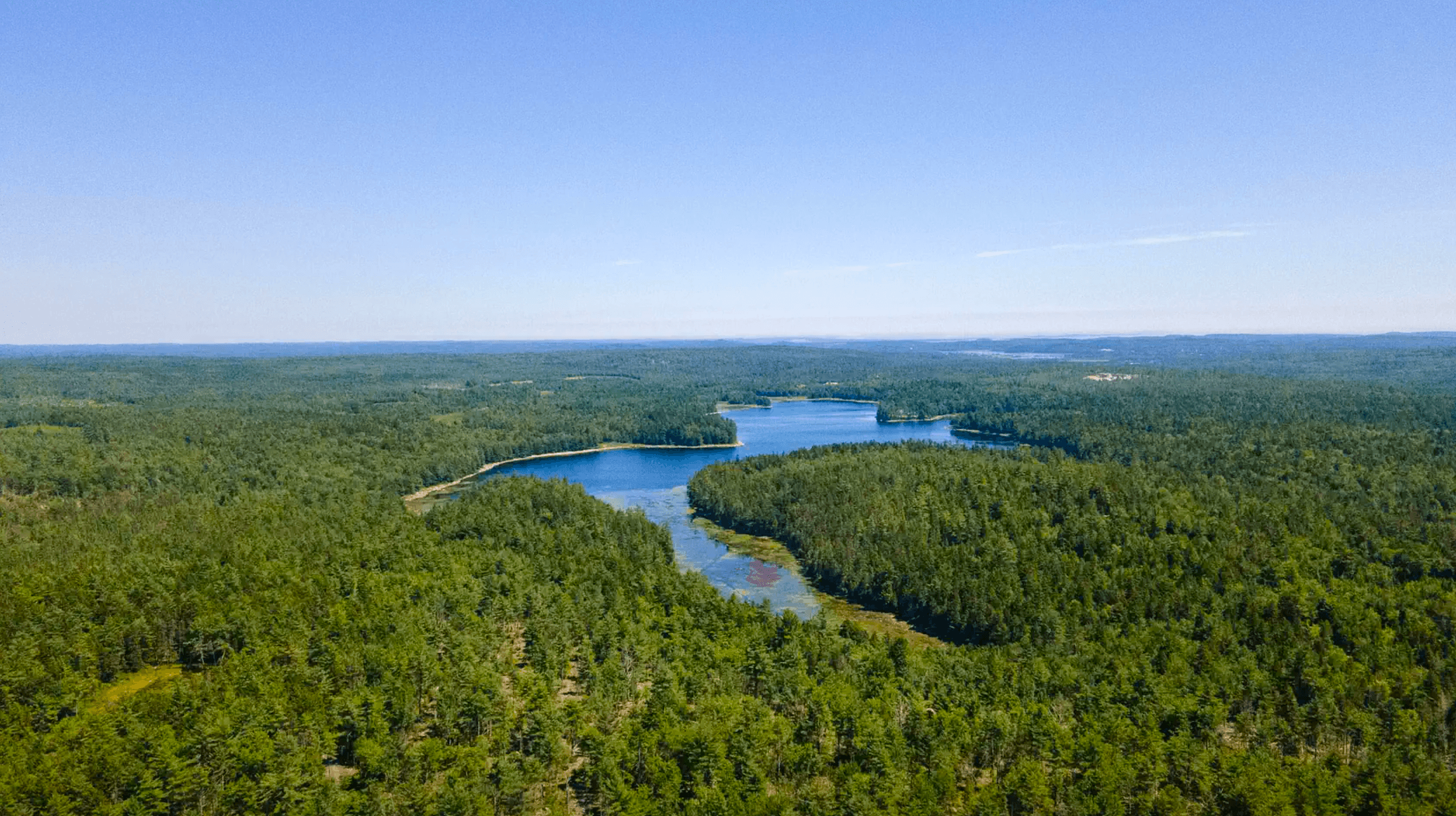 24 Acres Near Bog Lake in Northfield, Maine!