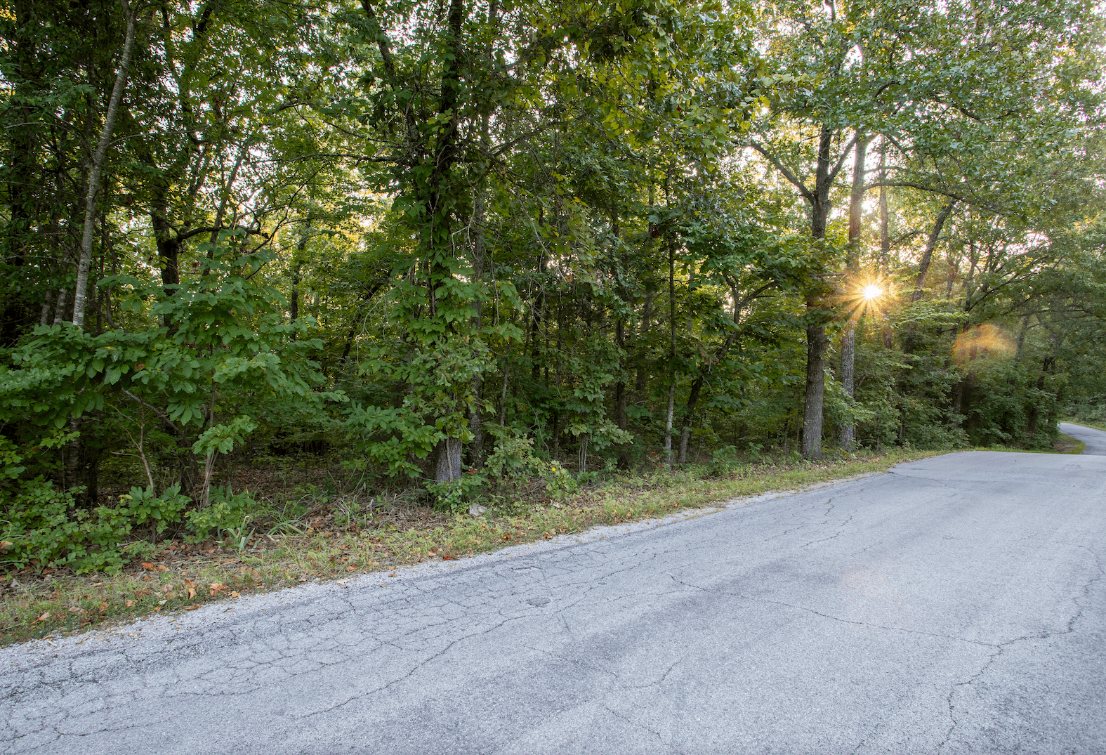 Build Your Dream Home in Cherokee Village, Sharp County, Arkansas!