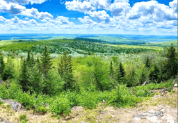 43 Acres in Maine!