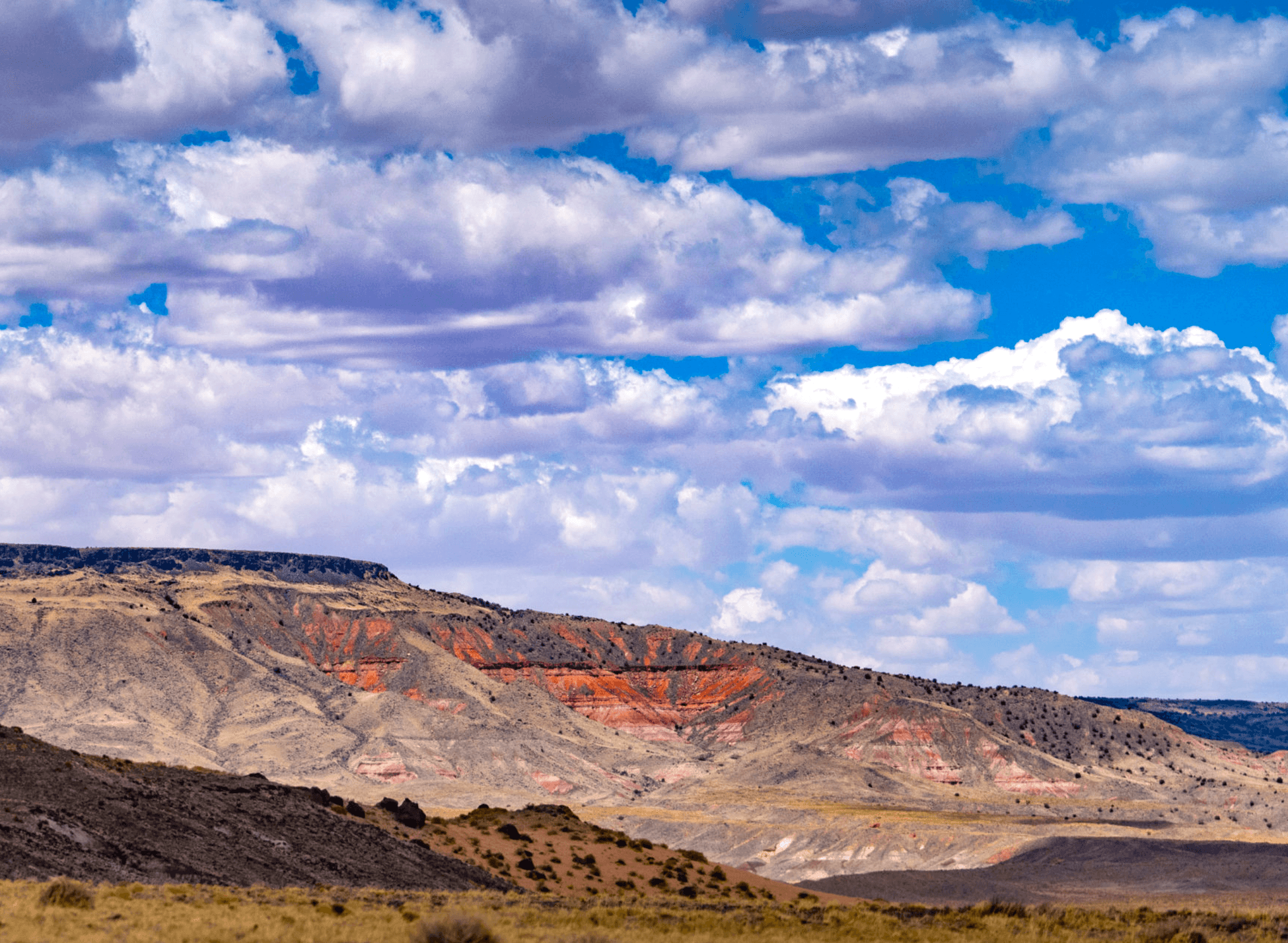 Breathtaking Arizona: Five-Acres in Navajo County!