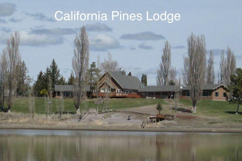 Modoc County, California: 10 Lot Package in California Pines! BIDDING IS PER LOT!