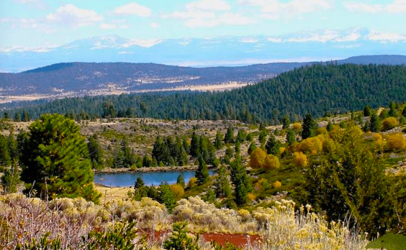 Modoc County, California: 10 Lot Package in California Pines! BIDDING IS PER LOT!