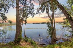 Polk County: Own a Sunny Spot in Florida!