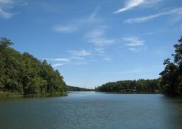 11 Adjacent Lots in Ozark Acres, Arkansas: Build, Invest or Live Here!