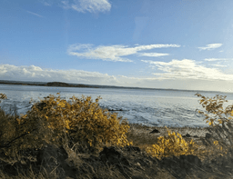 Grays Harbor, Washington: Your Getaway in the Great Pacific Northwest!