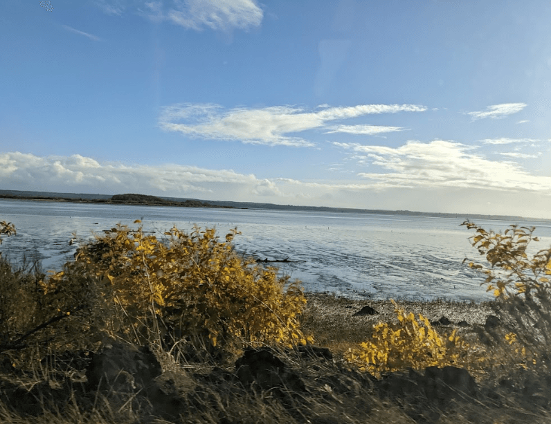 Grays Harbor, Washington: Your Getaway in the Great Pacific Northwest!