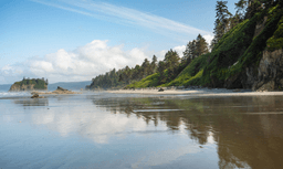 Grays Harbor, Washington: Your Getaway in the Great Pacific Northwest!