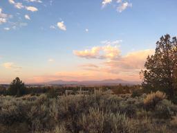 Build on Nearly an Acre in California Pines!