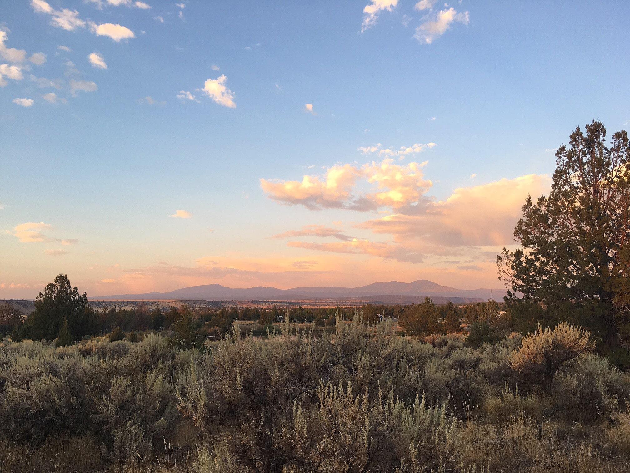 Build on Nearly an Acre in California Pines!