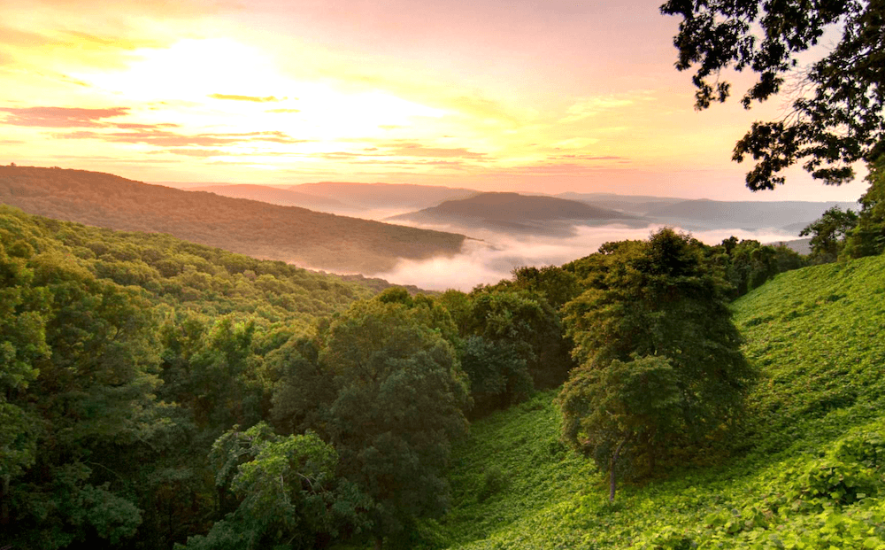 Arkansas' Ozark Acres Buildable Property!