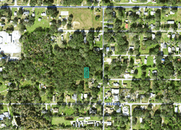 Experience the Charm of Auburndale: Own a Slice of the Florida Sun!