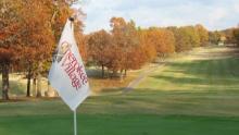 Cherokee Village, Arkansas: 20 Lot Package Deal! BIDDING IS PER LOT!
