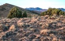 Investment Deal: 20 Nevada Acres Near Route 306!