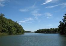 11 Adjacent Lots in Ozark Acres, Arkansas: Build, Invest or Live Here!