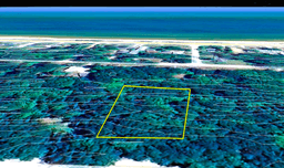 Over Half-An-Acre Homesite in Iosco County, Michigan!