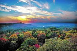 Build Your Dream Home in Ozark Acres, Arkansas!