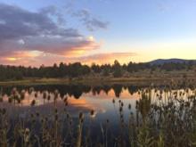 20 Acres of Peaceful Paradise in Modoc County, California!