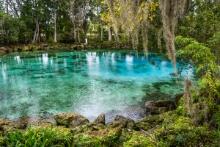 Your Florida Dream Home Awaits in Crystal River!