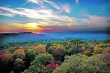 Build Your Dream Home in Ozark Acres, Arkansas!