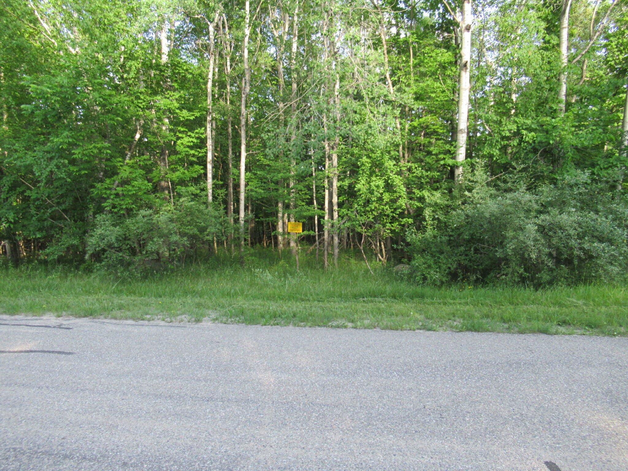 Own a Lot in Sugar Springs, Michigan!