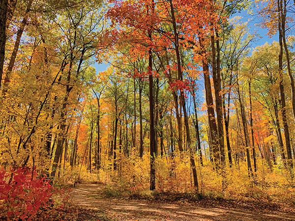 Own a Lot in Sugar Springs, Michigan!