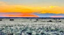 76 Acres in Navajo County, Arizona! BIDDING IS PER ACRE!