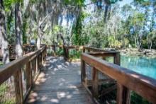 Adventure Starts Here: Homosassa in Citrus County, Florida!