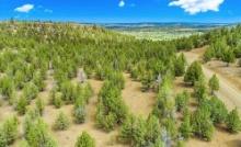 Modoc County, California: 10 Lot Package! BIDDING IS PER LOT!