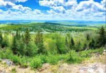 Explore 43 Acres in Aroostook County, Maine!