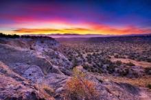 Secure Your Stake in New Mexico's Growing Market!