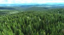 Build Here in California & Discover its Beauty!