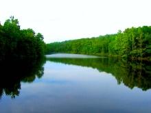Ozark Acres, Arkansas - Your Dream Starts Here!