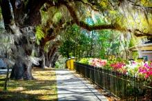 Homosassa Springs, Florida!