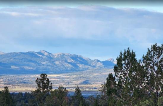 USA Land Auction: Own Your Piece of Earth!
