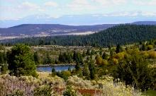 10 Lot Package in Modoc County, CA! BIDDING IS PER LOT!