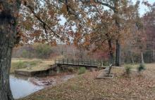 3 Adjacent Lots in Sharp County, AR - Build Your Dream!