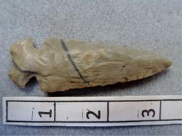 Dovetail - 3 1/4 in.- Hornstone - Pulaski Co.