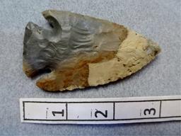Archaic Diagonal Notch  - 3 in. - Flint