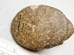 Bust Birdstone - 3 1/2 in. - Hardstone - Morrow