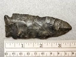 Archaic Side Notch Point - 3 1/2 in.