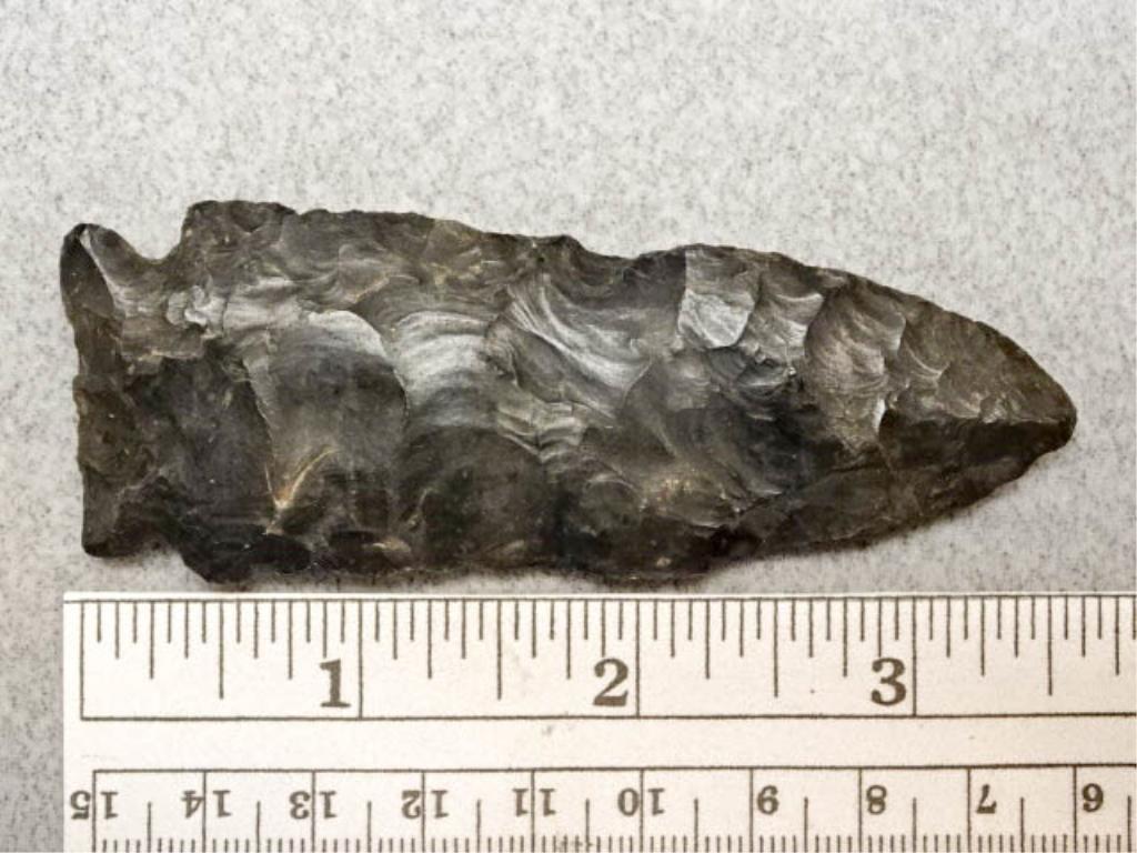 Archaic Side Notch Point - 3 1/2 in.